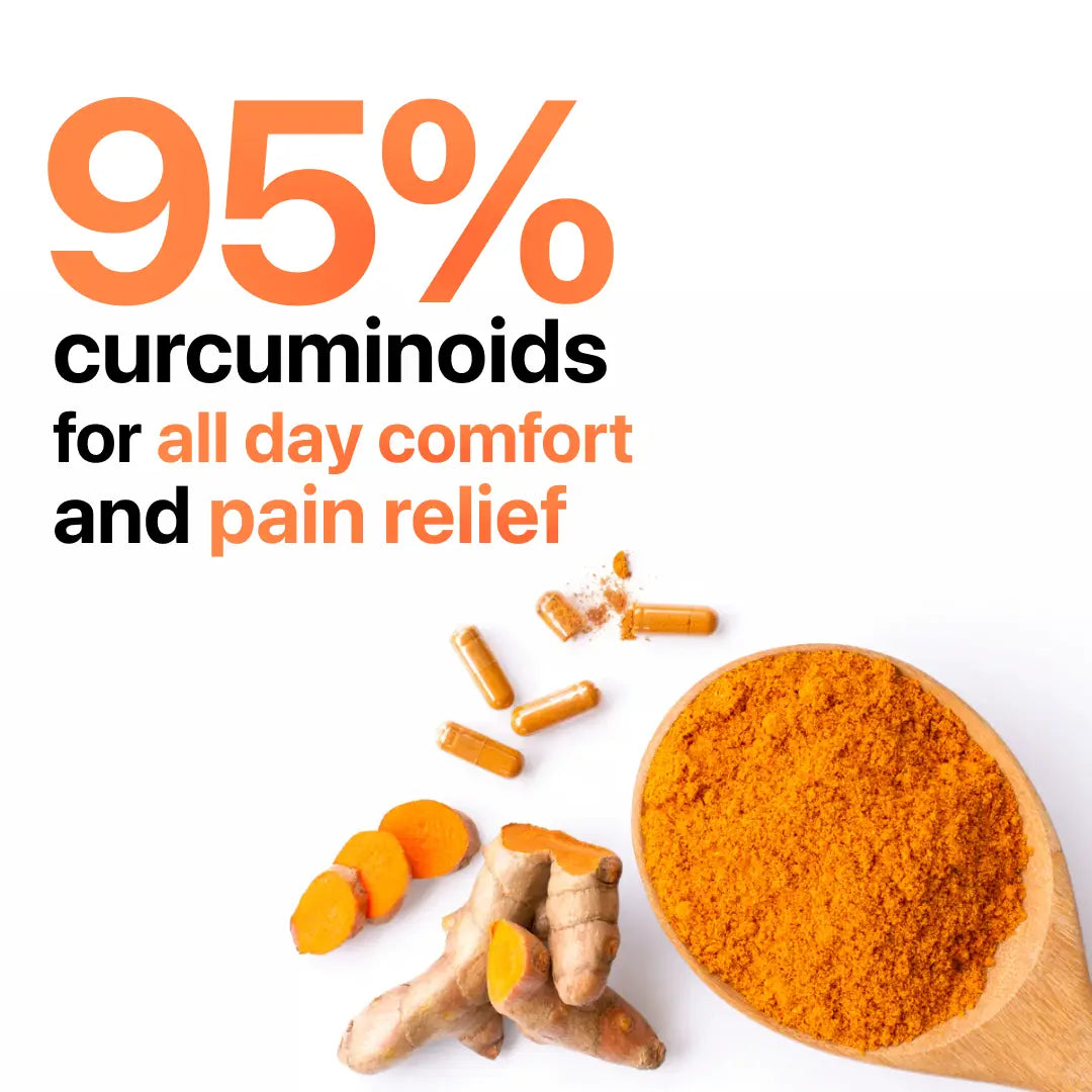 Turmeric Curcumin 95